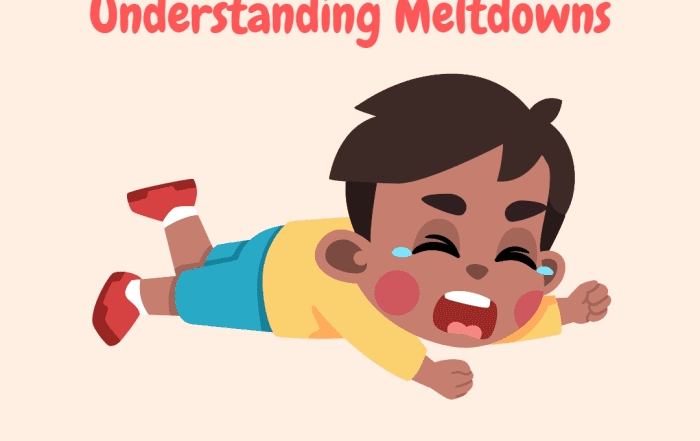 understanding meltdowns