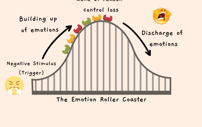 the emotion roller coaster